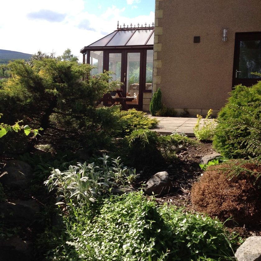 Garden view