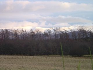 Cairngorms in winter