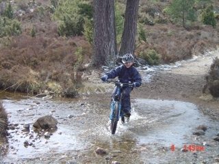 Cycling in Rothiemurchus pinewoods