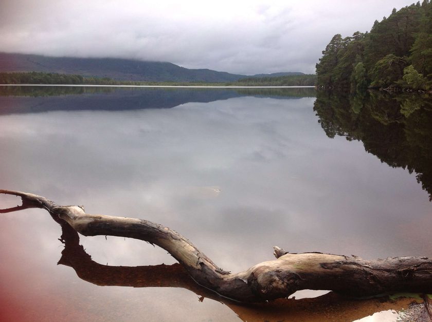 Loch garten